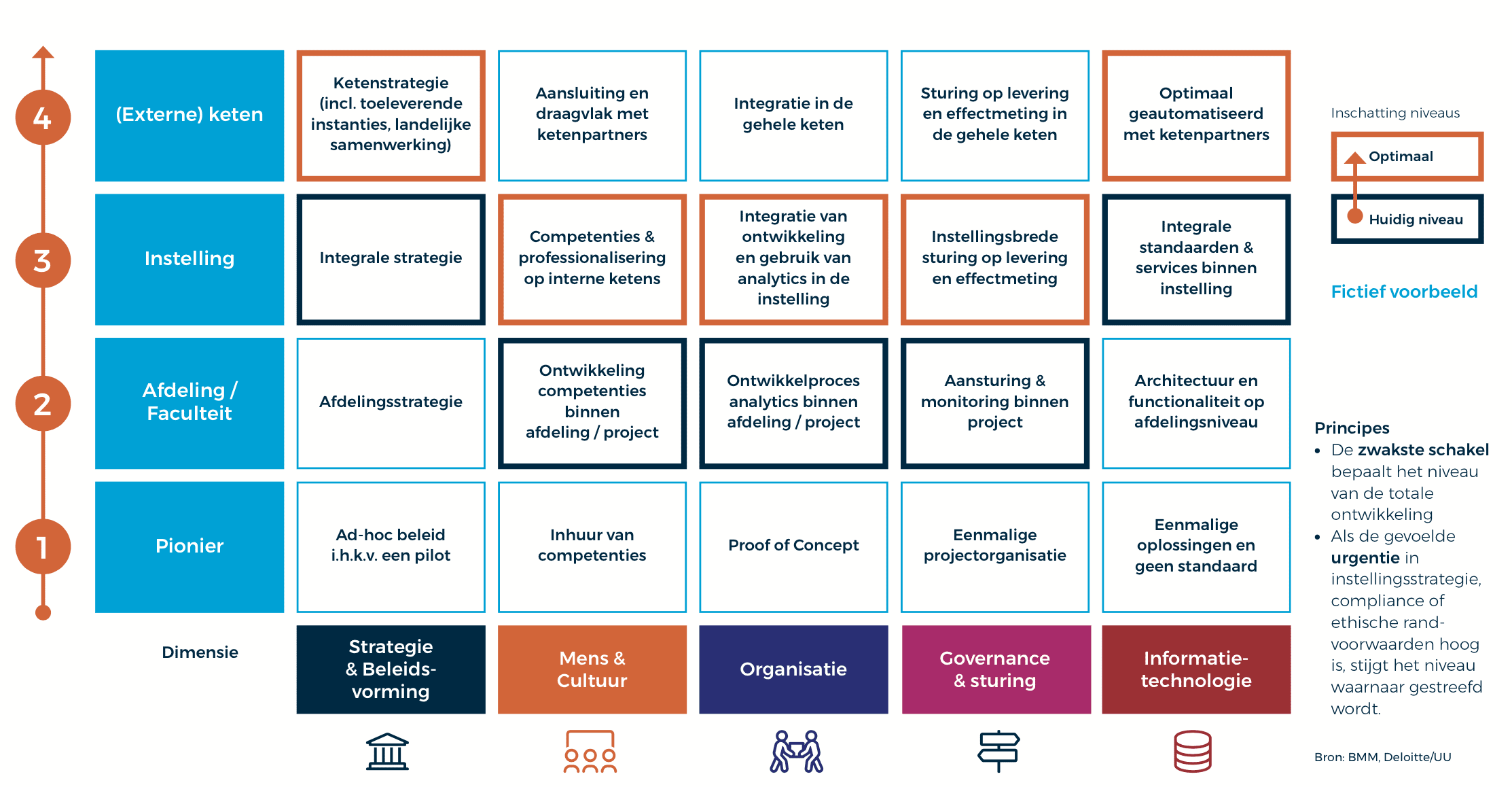 Volwassenheidsmodel studiedata